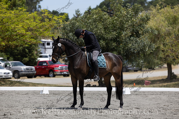 FFDressage23-3023