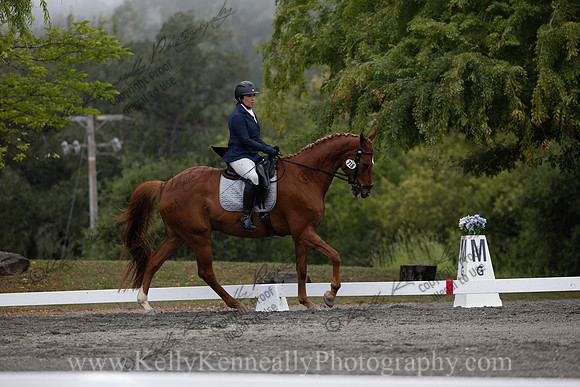 FFDressage23-1199