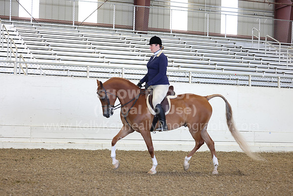 AHANC23_Thurs_0232