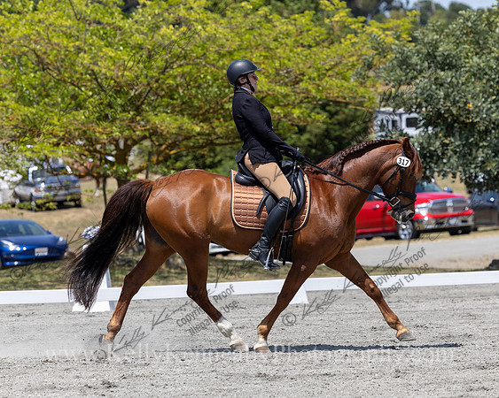 FFDressage23-4943