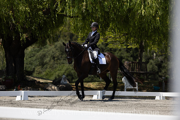 FFDressage23-00261