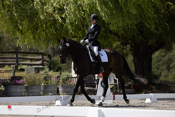 FFDressage23-00303