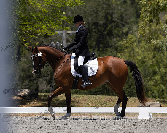 FFDressage23-00218