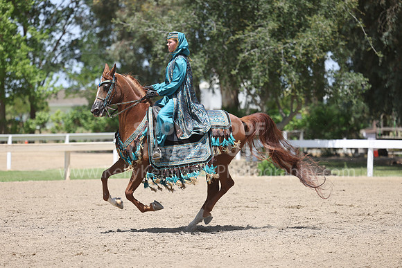 DAHA22_Thurs_1142