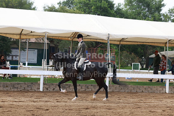 DAHA23_Sun_7749