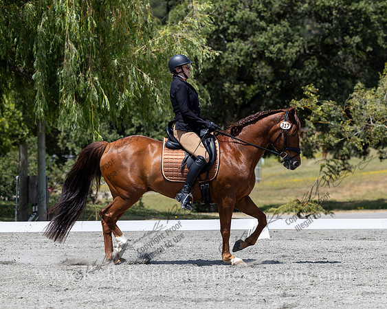 FFDressage23-4920