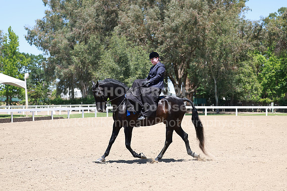 DAHA23_Fri_1470