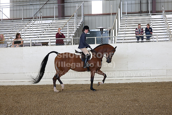AHANC23_Wed_1084