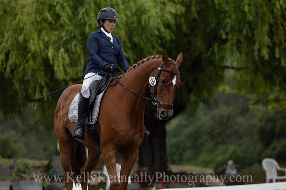 FFDressage23-1125
