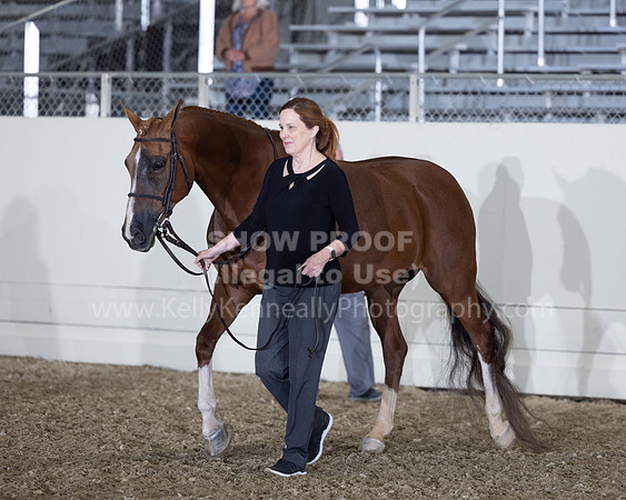 AHANC22_R5_Wed_0461