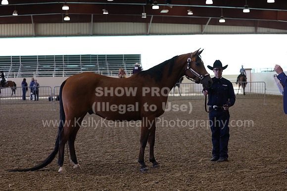 AHANC23_Wed_0019