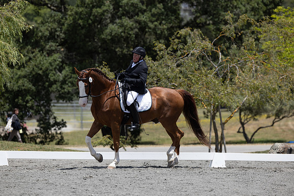 FFDressage23-3149