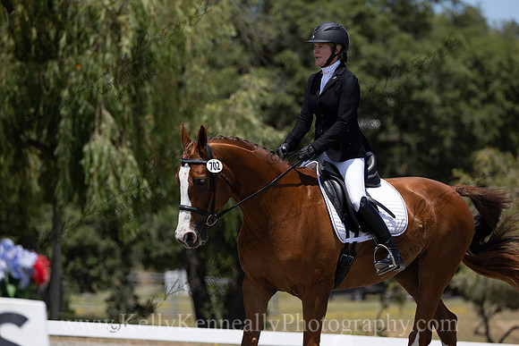 FFDressage23-4087