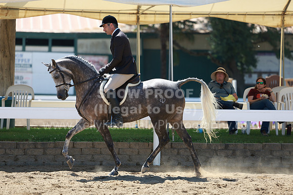 DAHA23_Fri_0894