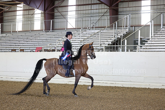 AHANC23_Thurs_0101