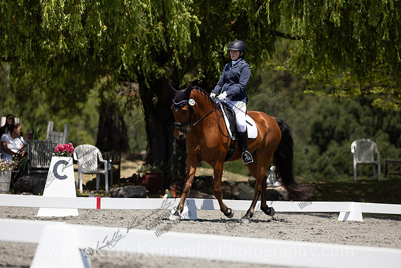 FFDressage23-00187