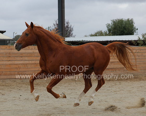 DocFall26_4654