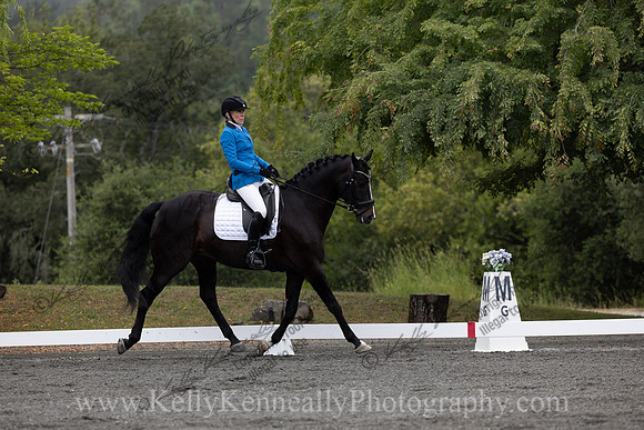 FFDressage23-00058