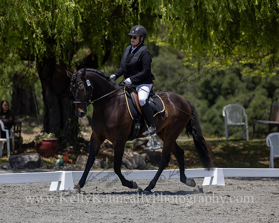 FFDressage23-00212