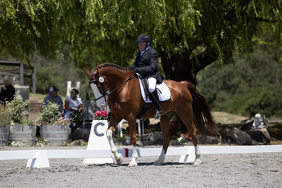 FFDressage23-00193
