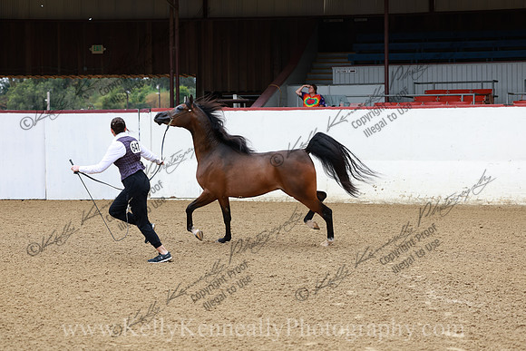 R2CH23_Thurs_0459