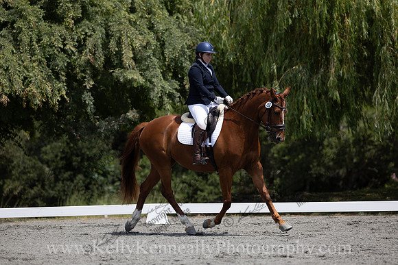 FFDressage23-00170