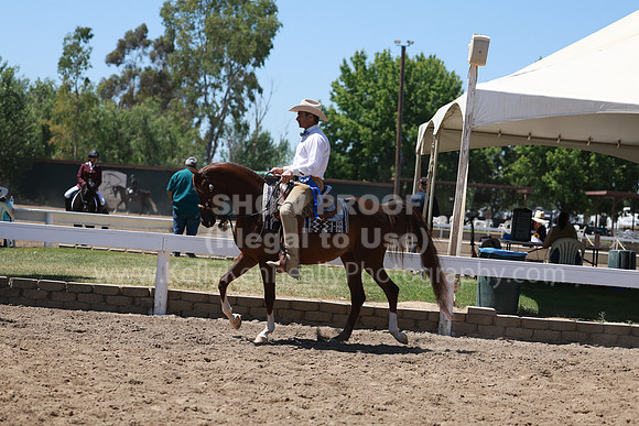 DAHA23_Fri_1789