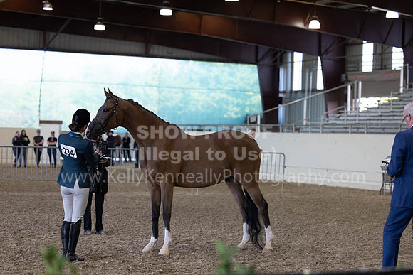 AHANC23_Wed_2743