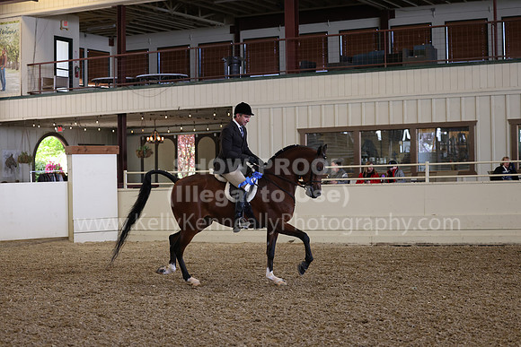 AHANC23_Wed_1284