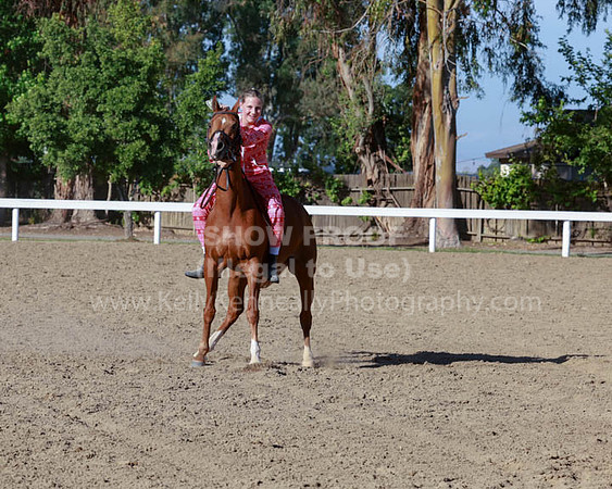 DAHA23_Sat_7316