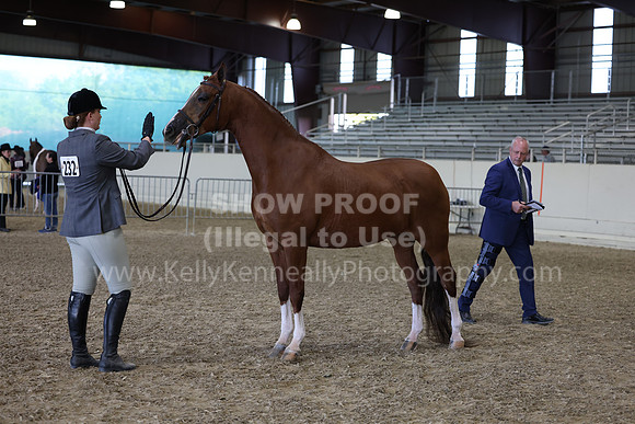 AHANC23_Wed_2805