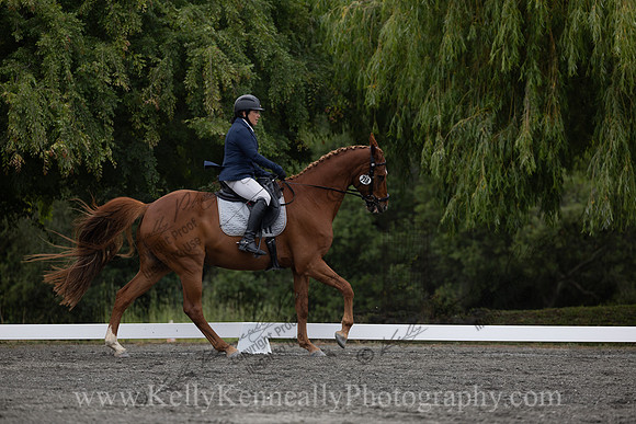 FFDressage23-1156