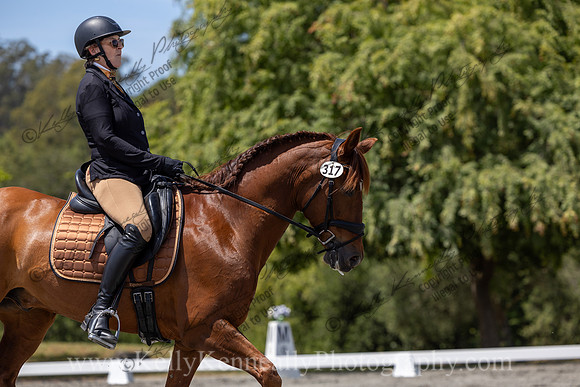FFDressage23-4620