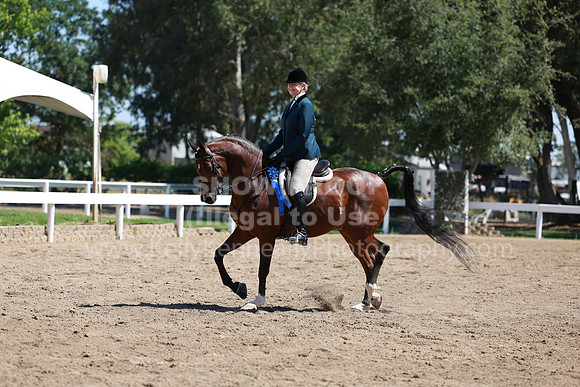 DAHA23_Fri_0886
