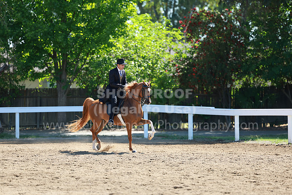 DAHA23_Fri_0441