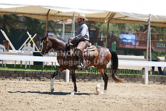 DAHA23_Fri_1923