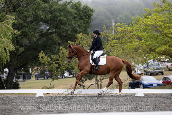 FFDressage23-1402