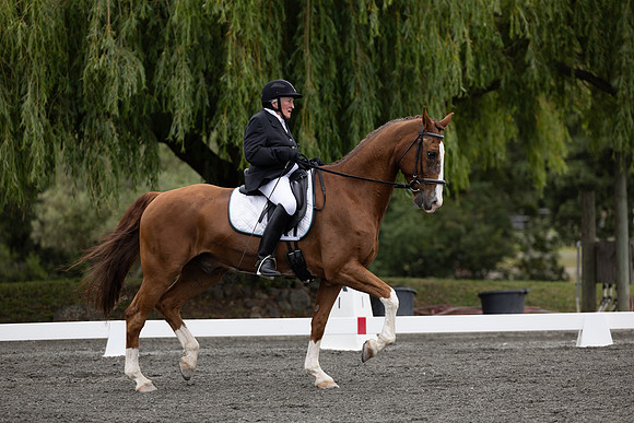 FFDressage23-00092