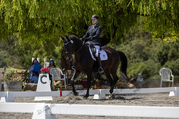 FFDressage23-5068