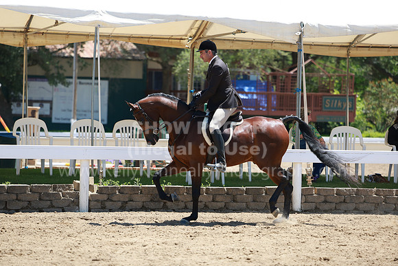 DAHA23_Fri_1524