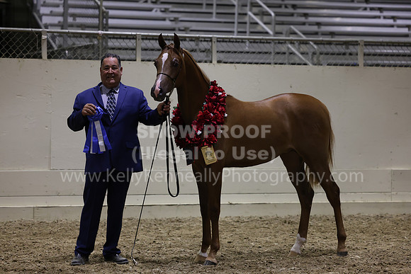 AHANC23_Wed_3200