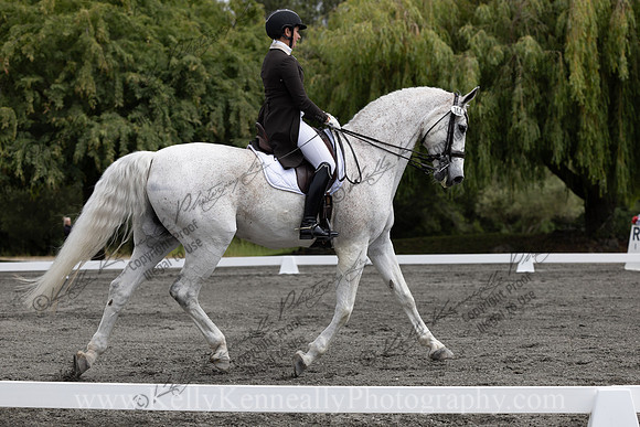 FFDressage23-00097