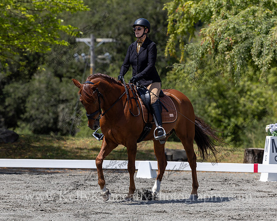 FFDressage23-4728