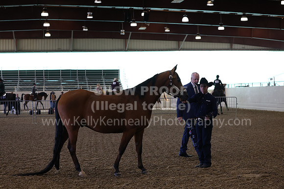 AHANC23_Wed_0023