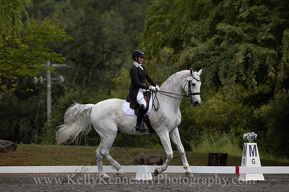FFDressage23-00099