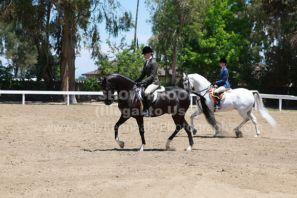 DAHA23_Sun_9508