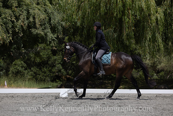 FFDressage23-2881