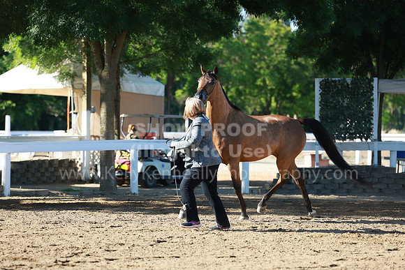 DAHA23_Fri_0133