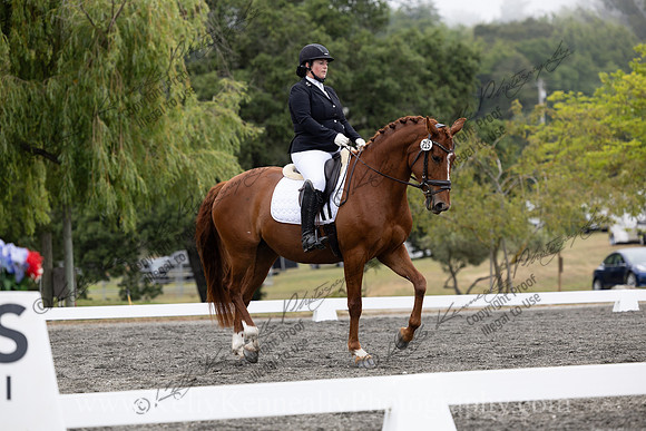FFDressage23-1515