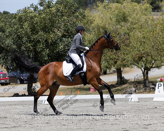 FFDressage23-4407